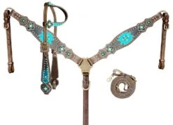 Teal Southwest One Ear Headstall Set