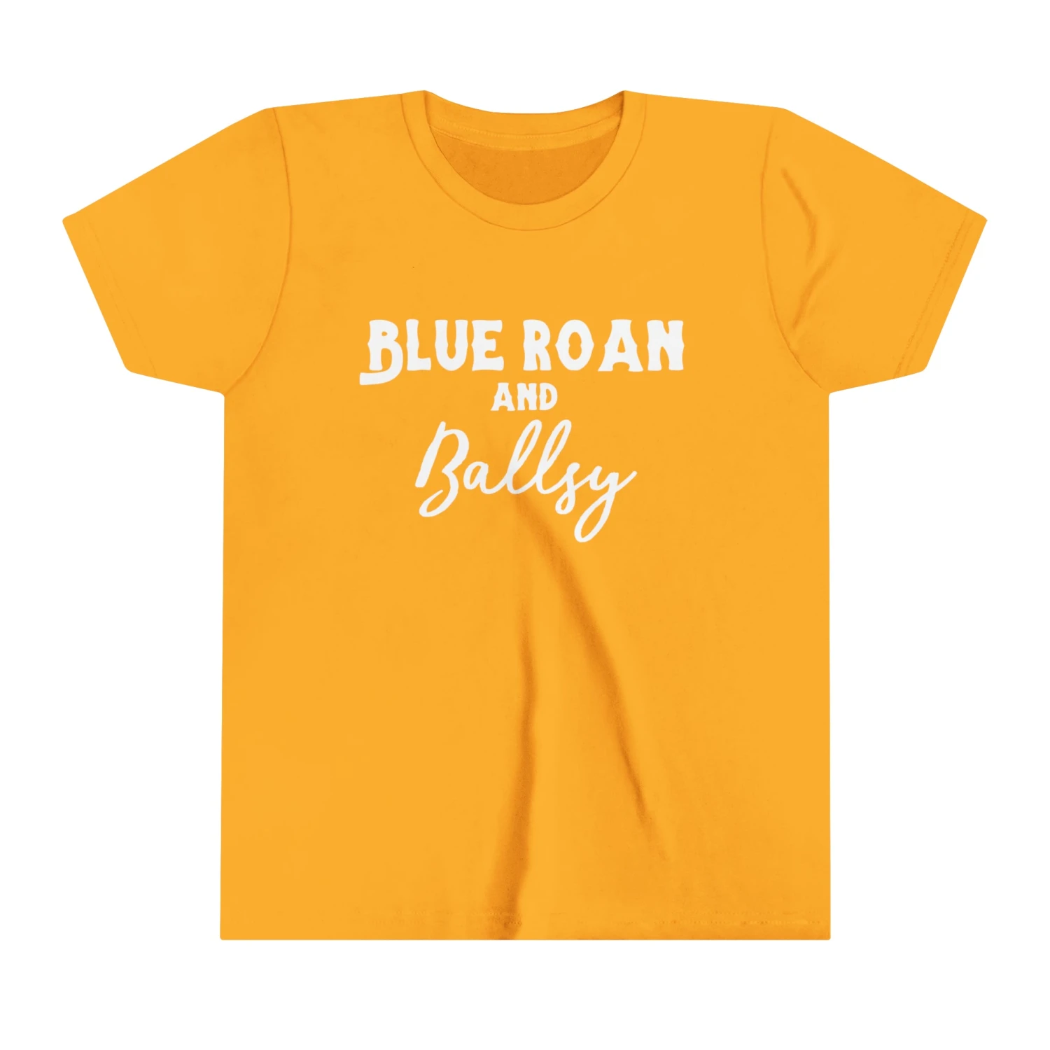 Blue Roan & Ballsy Youth Short Sleeve Tee - Image 13